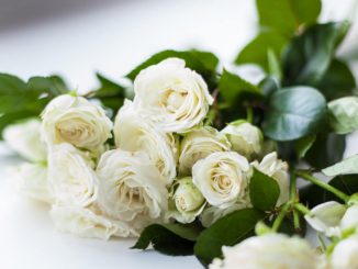 Vilken typ av blommor passar bäst för en begravning?